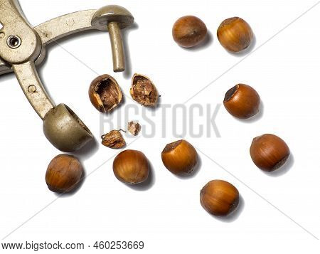 Old Nut Cracker. Hazelnuts On A White Background. Nuts In A Shell. Snack. Healthy Diet. Ingredients 