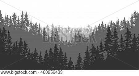 Mountain Spruce Forest. Vector Illustration. Stock Image.