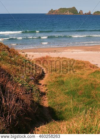Coastal View And Track Through Dunes Across Beach To Sea At Opito Bay New Zealand.