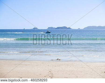 Background Image Of Opito Bay Beach In Summer., Coromandel, New Zealand.