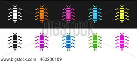 Set Centipede Insect Icon Isolated On Black And White Background. Vector