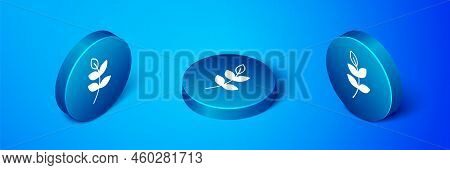 Isometric Willow Leaf Icon Isolated On Blue Background. Blue Circle Button. Vector
