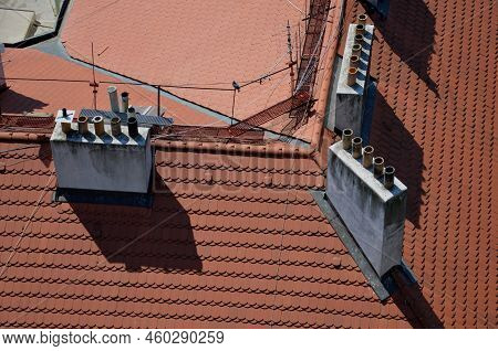 Chimneys With Several Pipes In Apartment Buildings Were Swept By Several Chimney Sweeps Who Walked A