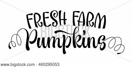 Fresh Farm Pumpkins - Calligraphy Lettering For Eco Grocery Vegetables Sales.