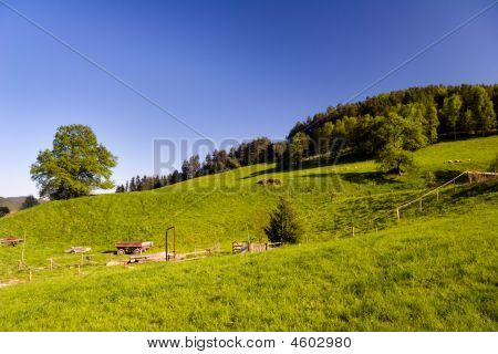 Landwirtschaft Sommerlandschaft
