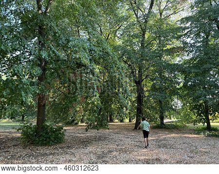 The Park Of The Hunting Castle In Bilje Or The Park Next To The Castle Of Eugene Of Savoy, Bilje - S