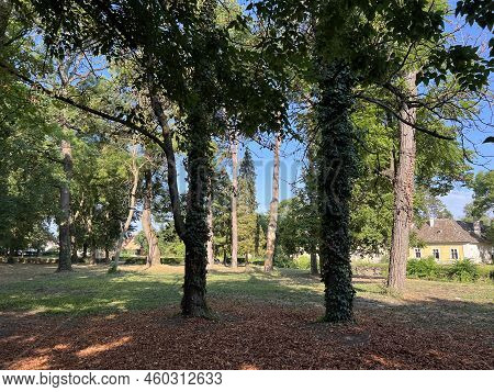 The Park Of The Hunting Castle In Bilje Or The Park Next To The Castle Of Eugene Of Savoy, Bilje - S