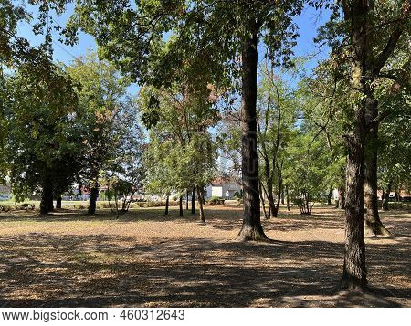 The Park Of The Hunting Castle In Bilje Or The Park Next To The Castle Of Eugene Of Savoy, Bilje - S