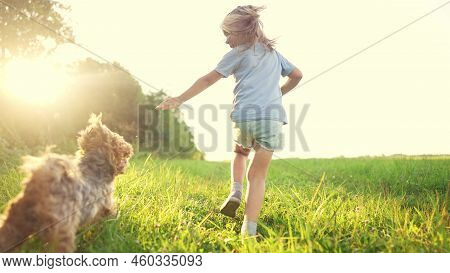 Happy Family. Kid And Dog Run Legs Close-up In The Park At Sunset. People In The Park Concept Boy So