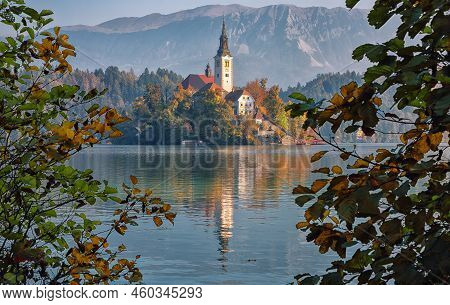 Fabulous Sunny Day View Of Popular Tourist Destination  Bled Lake. Dramatic View Of Pilgrimage Churc