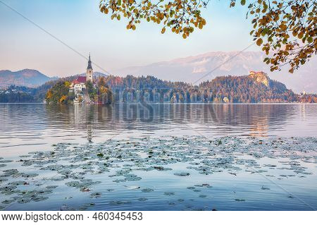 Astonishing Sunset View Of Popular Tourist Destination  Bled Lake. Dramatic View Of Pilgrimage Churc