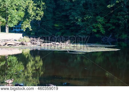 Log Jam Of Brush, Limbs, Branches, Trees And Debris On A Slow Flowing River