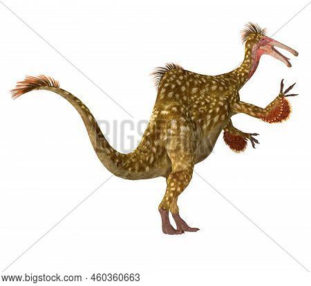 Cretaceous Deinocheirus Tail 3d Illustration - Deinocheirus Was A Predatory Theropod Dinosaur That L
