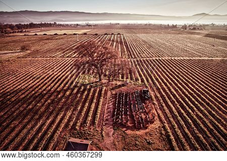 Napa, United States - February 17 2013 : An Aerial View Of Vine Yard Fields In Napa During A Hot Air