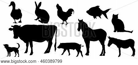 Set Of Farm Animals - Domestic Animals Silhouette - Silhouettes Of Animals