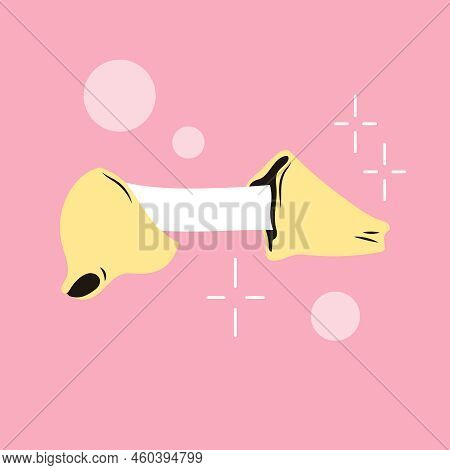 Open Fortune Cookies. Sheet Of Fun Surprising Predictions. Traditional Chinese Flowerless Wisdom Coo