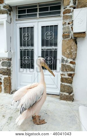 Mykonos ø i Grækenland