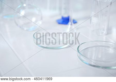 Focus On A Glass Lab Plate - A Petri Dish On A White Table On The Blurred Background Labware For Bio