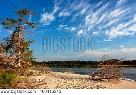 Wispy Clouds Float Above Trees And  The Shore Of The Inter-coastal Waterway At Holden Beach, North C