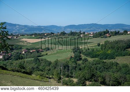 Landscape With Vineyards Near Beaujolais Wine Making Village Val D'oingt, Gateway To Beaujolais Wine