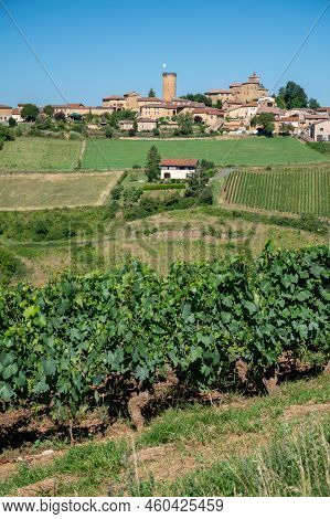 Landscape With Vineyards Near Beaujolais Wine Making Village Val D'oingt, Gateway To Beaujolais Wine