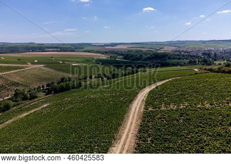 Aerial View On Chablis Grand Cru Appellation Vineyards With Grapes Growing On Limestone And Marl Soi