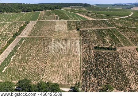 Aerial View On Chablis Grand Cru Appellation Vineyards With Grapes Growing On Limestone And Marl Soi