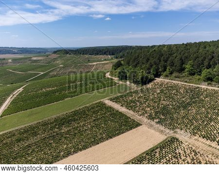 Aerial View On Chablis Grand Cru Appellation Vineyards With Grapes Growing On Limestone And Marl Soi