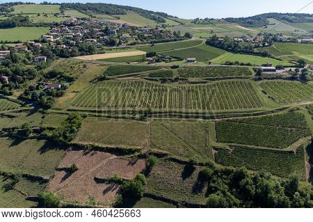 Landscape With Vineyards Near Beaujolais Wine Making Village Val D'oingt, Gateway To Beaujolais Wine