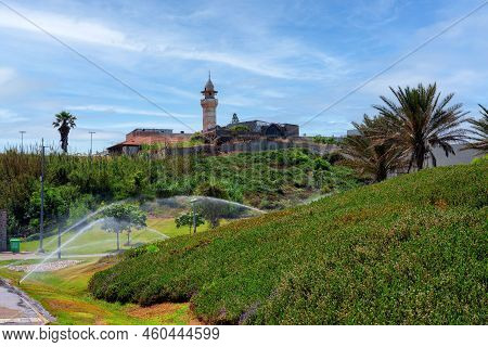 Holy Land Of Israel. Jaffa, Midron Yaffo Park.