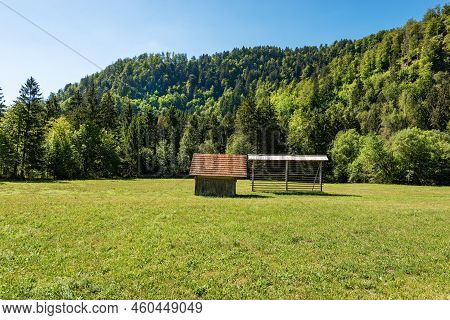 Old Traditional Wooden Barn And Vertical Hay Rack (kozolec - Hayrack) On A Green Meadow With Pine Fo