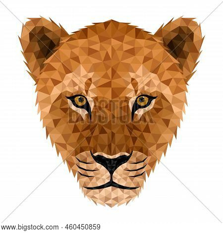Lion Low Poly. Low Poly Triangular Lion Face