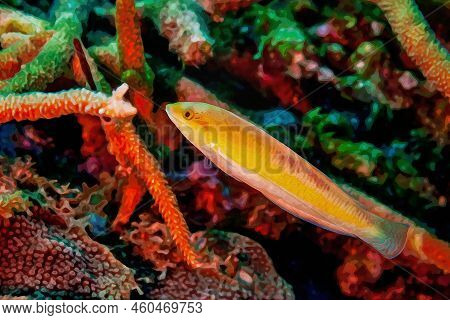 Digitally Created Watercolor Painting Of A Juvenile Bluehead Wrasse In The Yellow Phase