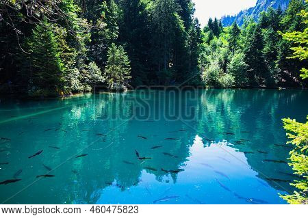 Blauesee On A Sunny Summer Day Holiday In 2022