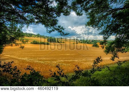 Landscape In The Teutoburg Forest In Germany