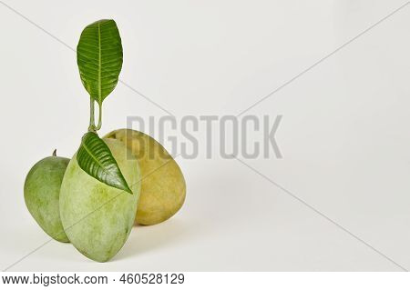 Three Chausa Mangoes On A White Background
