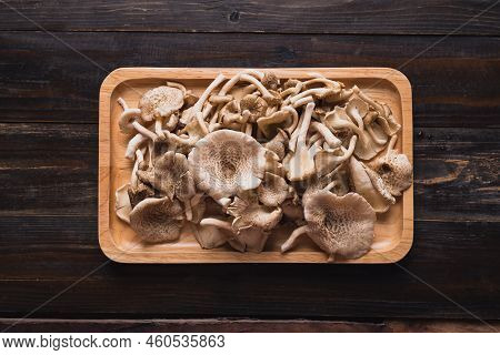 Fresh Edible Mushroom (lentinus Squarrosulus) On Wooden Background, Organic Food Ingredients In Seas