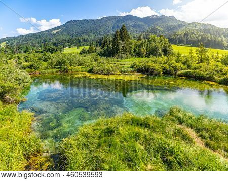 Zelenci Nature Reserve - Blue Natural Lake And Source Of The Sava Dolinka River Near Kranjska Gora, 