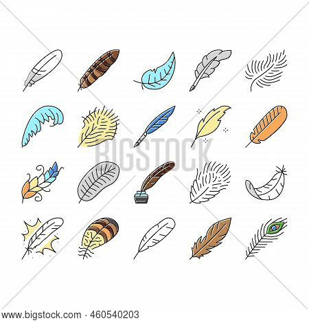 Feather Bird Soft Quil Fluffy Icons Set Vector. Plume, Plumage Light, Falling Angel, Fluff Swan, Lig