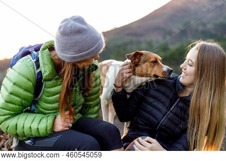 Happy Female Friends Wearing Down Jackets Playing With Dog While Sitting Against Mountain During Vac