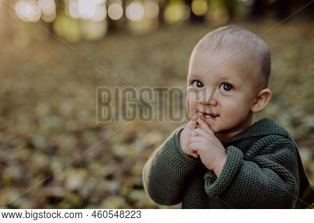 Portrait Of Cute Little Boy Wearing Knitted Hoodie In Nautre, Autumn Concept.