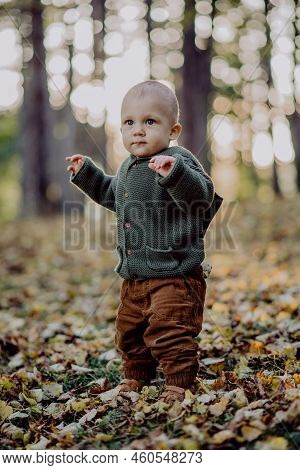 Portrait Of Cute Little Boy Wearing Knitted Hoodie In Nautre, Autumn Concept.