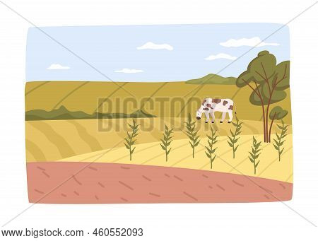 Farming And Agricultural Business, Tending For Crops And Animals. Field With Plants And Grazing Cow.