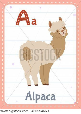 Alphabet Printable Flashcard With Letter A. Cartoon Cute Alpaca Animal Picture And English Word On F