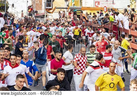 Running Of The Bulls. Bulls. Bull Runs. Encierro That Is Celebrated In The Town Of San Sebastian De 