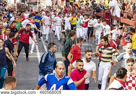Running Of The Bulls. Bulls. Bull Runs. Encierro That Is Celebrated In The Town Of San Sebastian De 