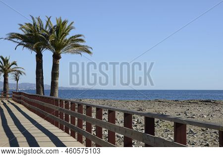 Palm Trees Next To Litoral Wooden  Footpath In Saint Peter Beach In Marbella, Andalusia, Spain.