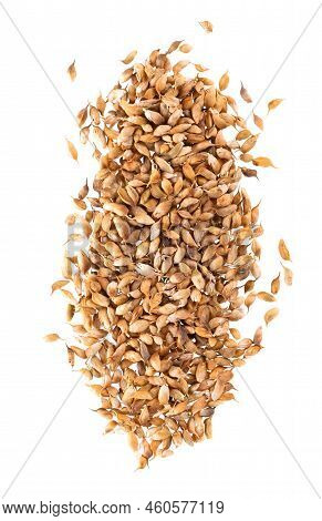 Utsho Suneli Seeds Isolated On White Background. Trigonella Caerulea Or Blue Fenugreek. And Herbs. T