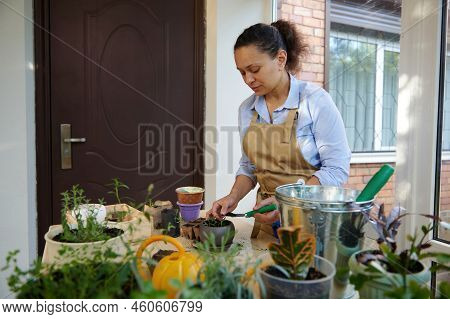 Serence Multi-ethnic Woman Wearing A Beige Apron Standing In The Home Veranda With Lots Of Potted In
