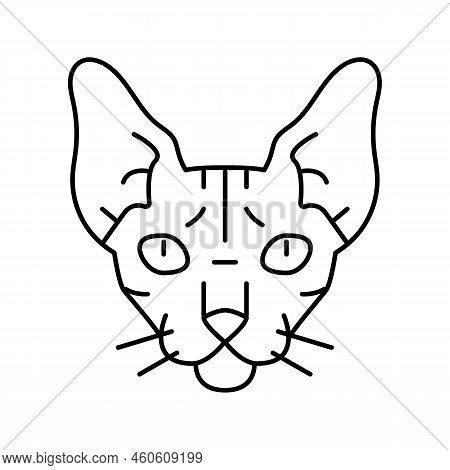 Sphynx Cat Cute Pet Line Icon Vector. Sphynx Cat Cute Pet Sign. Isolated Contour Symbol Black Illust